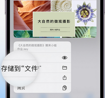 天镇apple维修中心分享iPhone文件应用中存储和找到下载文件