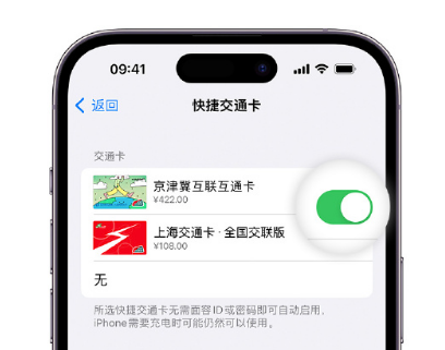 天镇apple维修点分享iPhone上更换Apple Pay快捷交通卡手绘卡面 