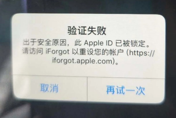 天镇iPhone维修分享iPhone上正常登录或使用AppleID怎么办 