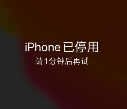 天镇苹果手机维修分享:iPhone 显示“不可用”或“已停用”怎么办？还能保留数据吗？ 