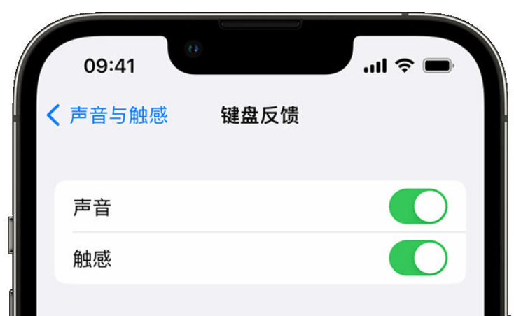 天镇苹果手机维修分享iPhone 14触感键盘使用方法 