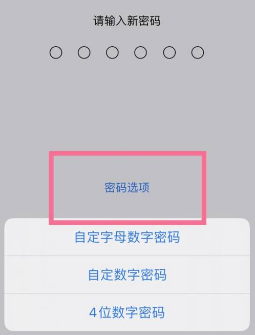 天镇苹果14维修分享iPhone 14plus设置密码的方法 