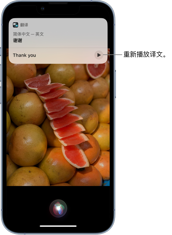 天镇苹果14维修分享 iPhone 14 机型中使用 Siri：了解 Siri 能帮你做什么 