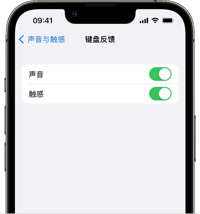 天镇苹果14维修分享iPhone 14 系列机型如何开启键盘声音或触感反馈 