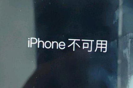 天镇苹果服务网点分享锁屏界面显示“iPhone 不可用”如何解决 