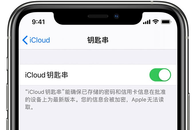 天镇苹果手机维修分享在 iPhone 上开启 iCloud 钥匙串之后会储存哪些信息 