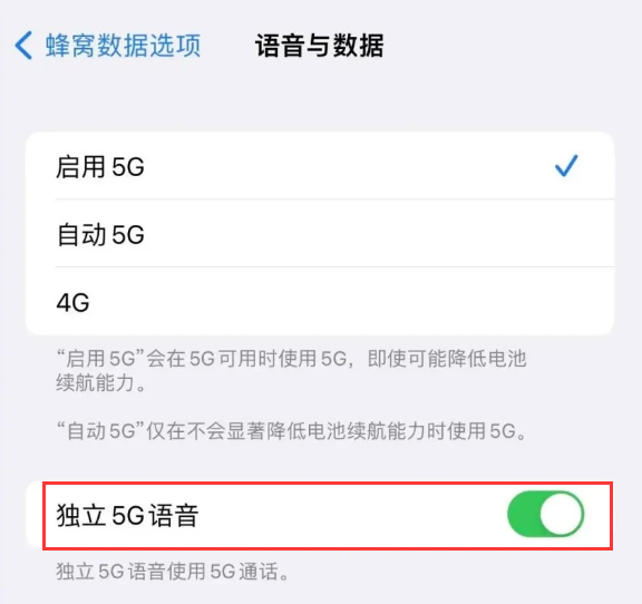 天镇苹果14维修分享iPhone 14 Pro如何开启VoNR 