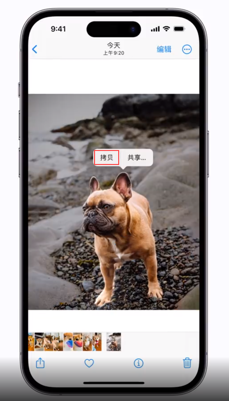 天镇苹果手机维修分享 iOS 16 自带一键抠图功能 