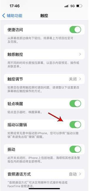 天镇苹果手机维修分享iPhone手机如何设置摇一摇删除文字 