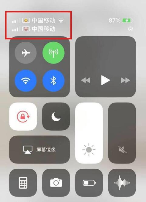 天镇苹果手机维修分享为 iPhone 12 双卡设置标签 