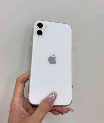 天镇苹果维修点分享iPhone 11黑屏特殊场景解析 